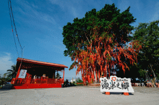 Sekinchan Wishing Tree 